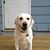 Elizabeth Eocaci-Tucker's profile image