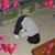 Catherine Leimbach's profile image
