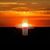 Don Michelle Armstrong's profile image