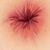 Norman Saenz's profile image