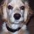 Liz Smith's profile image