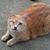 Vanessa Kay Meester's profile image