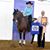 Kristen Hutchison-Cesnik Cesnik Stables's profile image