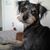 Denisa Welch's profile image