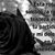 Nely Garcia's profile image