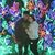 Katlyn Dorcas's profile image