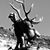 Brent Guier's profile image