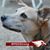 Christine Worsnop's profile image
