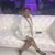Kyshia Brooks's profile image