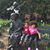 Susan Hansen Wilkinson Tolbert's profile image