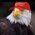 Randy Burris's profile image