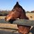 Gail Yobe's profile image