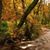 Kathy Paschal's profile image