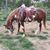 Donna Mckittrick's profile image
