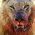 Betty Gaudreault's profile image