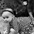 Jason J. Kyle's profile image