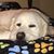 Sally Herrington's profile image