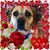 Sandy Bacome Yount's profile image