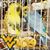 Robin Miller-Weaver's profile image