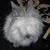 Judy Noe's profile image