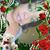 Nita Singleton's profile image