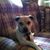 Robin Calderini Bonino's profile image