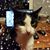 Mary Hildinger's profile image
