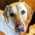 Julie Resh's profile image