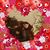 Teresa Calvert's profile image