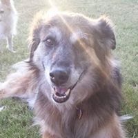 Jennifer Harrington's profile image