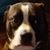 Stephanie Torrusio's profile image