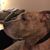 Kelly Chilcote Balliet's profile image