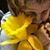 Annette Eberle's profile image