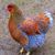 Judy Sellers's profile image