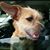 Tammy Willis Rigsby's profile image
