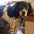 Sue Offutt Cypret's profile image
