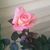 Sherry Wimsatt's profile image