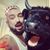 Andrea Del Giudice's profile image
