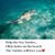 Sheri Tigue's profile image