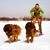 Brenda Lelli's profile image