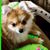Sara Sue Green May's profile image