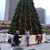 MacKenzie Leigh Homoya's profile image