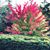 Tara Katir's profile image