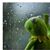 Ramon Cruz's profile image