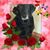 Michelle Pilus-Walker's profile image