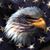Larry Fink's profile image
