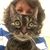 Daniele Burris's profile image