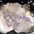 Danice DeAndrea's profile image