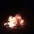 Thomas Hamann's profile image