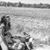 Sheree Kesterson Goad's profile image